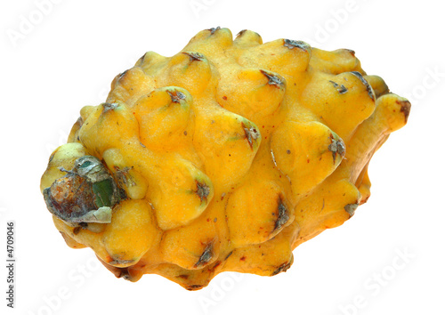 Gelbe Drachenfrucht