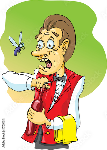 Waiter and Fly