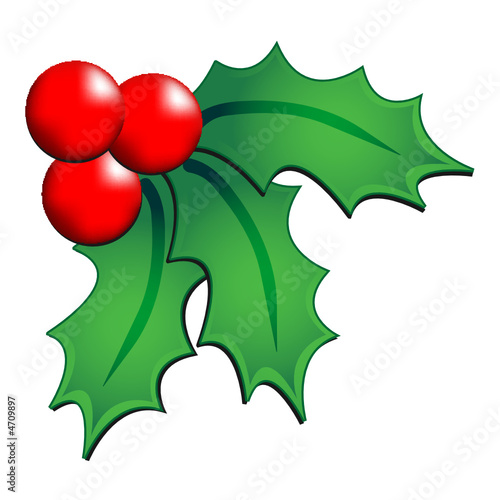 Christmas holly ornament over white background