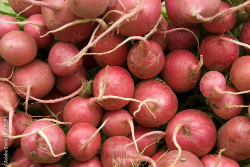 Radishes