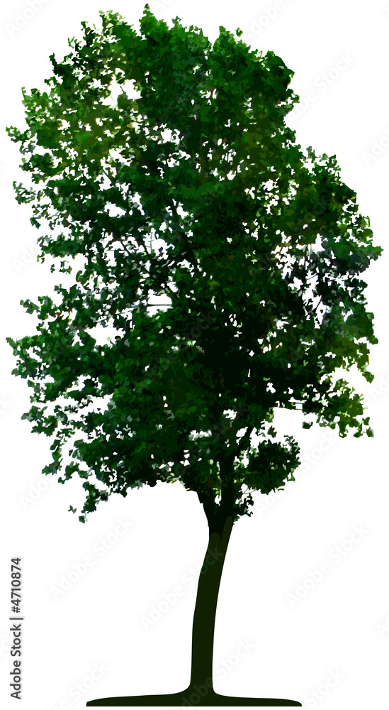 Obraz premium Vector tree