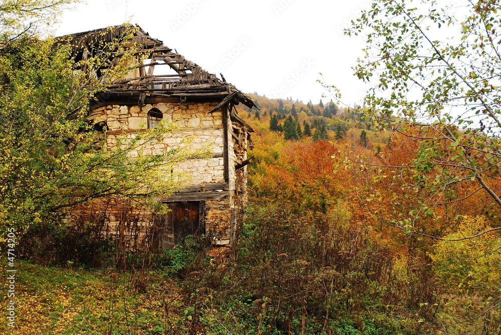 Obraz premium old ruined house in autumn forest