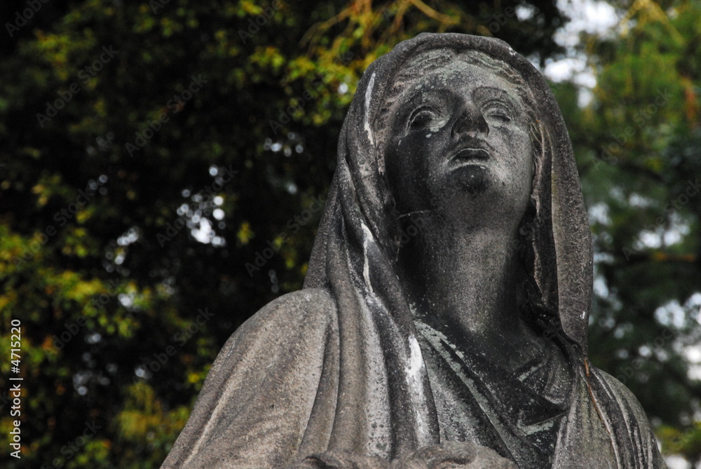 aged beauty aged beauty
