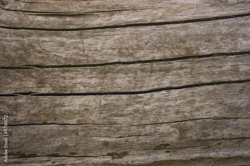 chapped oak wood texture