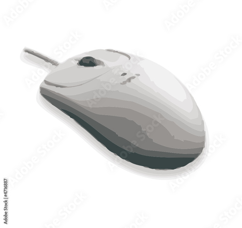 computer mouse