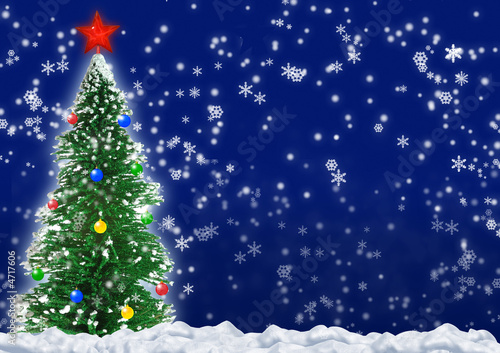 Christmas fir tree