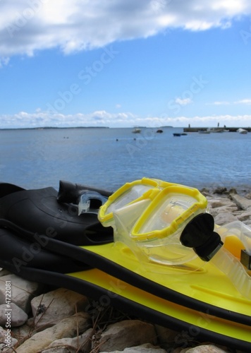 fins and mask