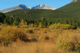 Longs Peak, autumn foliage; Rocky Mountain National Park