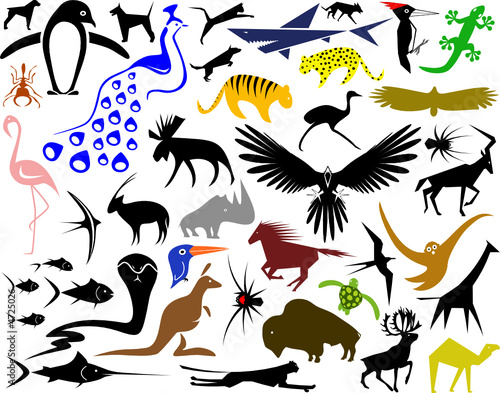 Animal designs