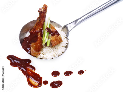 Photography chinesische hongkong ente mit reis