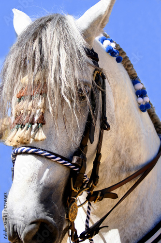caballo en la feria