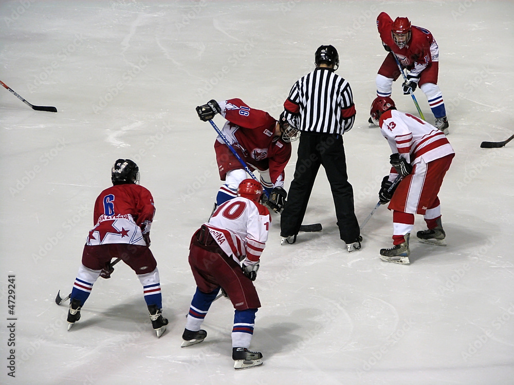 Fototapeta premium hockey
