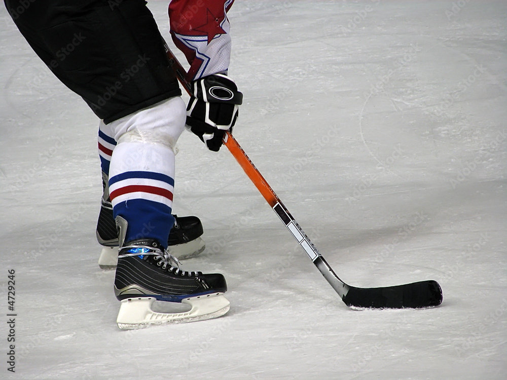 Fototapeta premium hockey