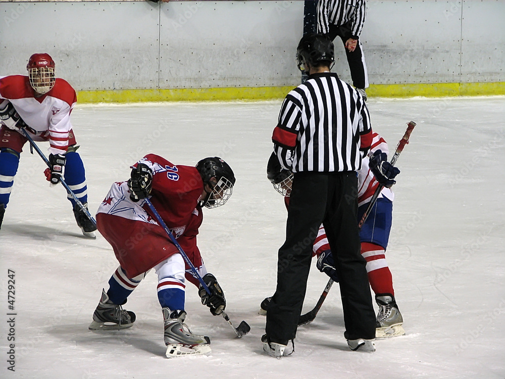 Fototapeta premium hockey game