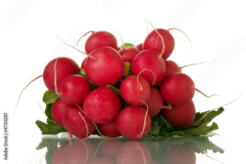 radish
