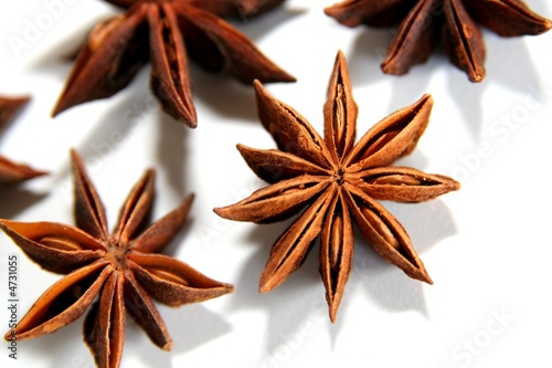 Sternanis