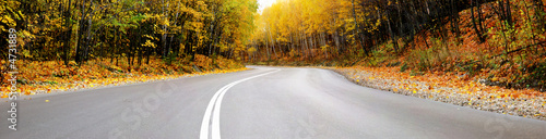 autumn road panorama