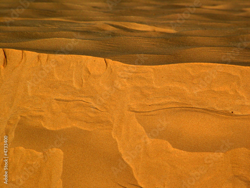 Sahara Sand