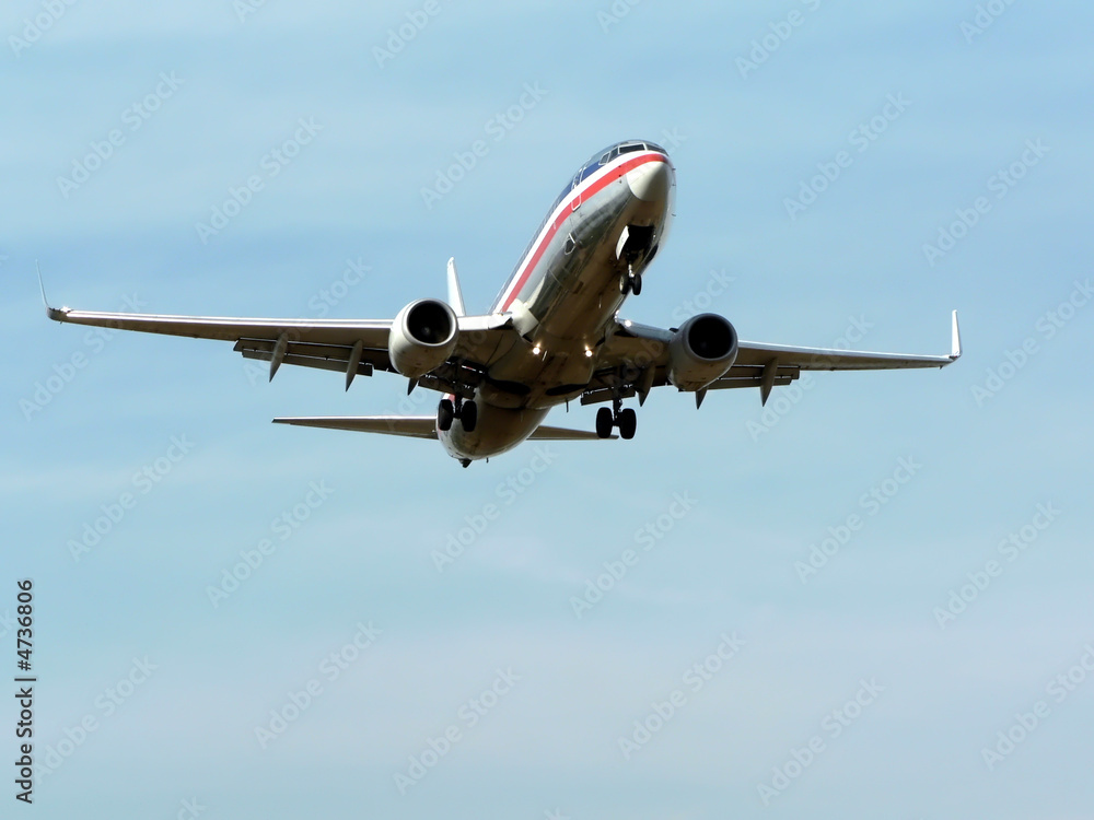 Naklejka premium commercial jet in flight 2