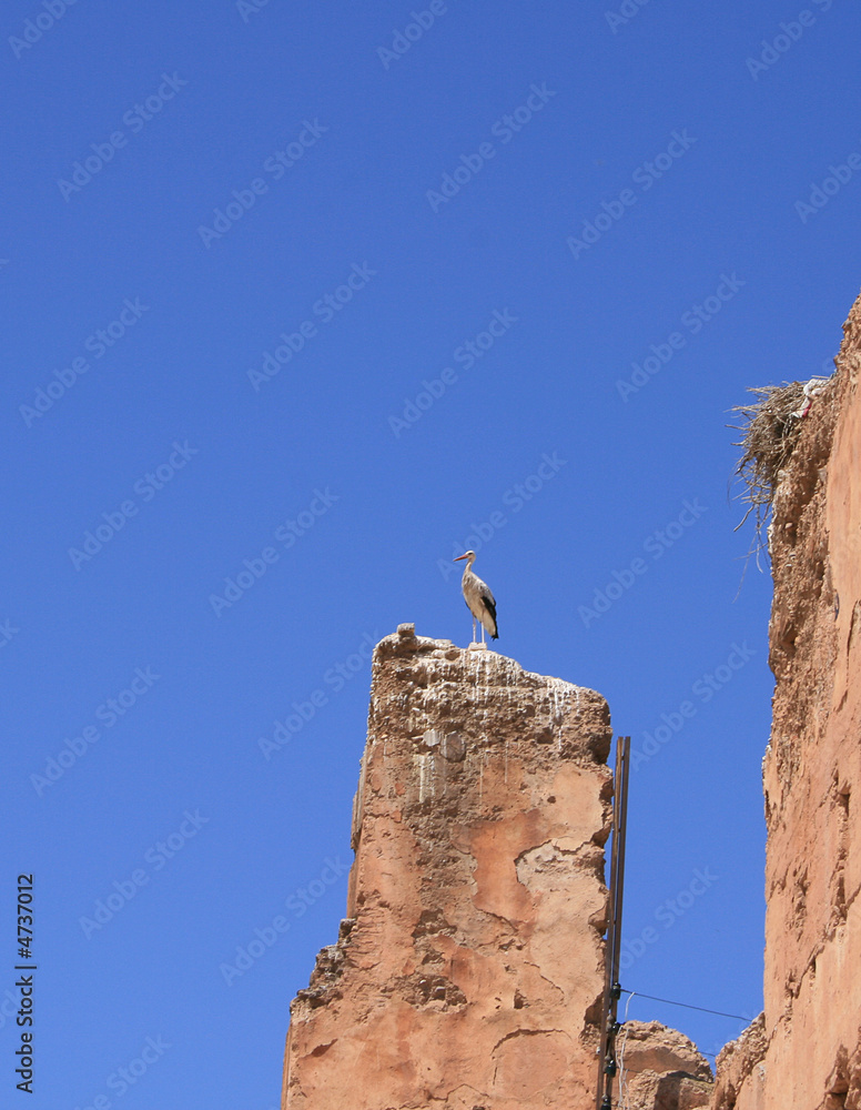 cigogne sur les ruines du palais el badi à marrakech