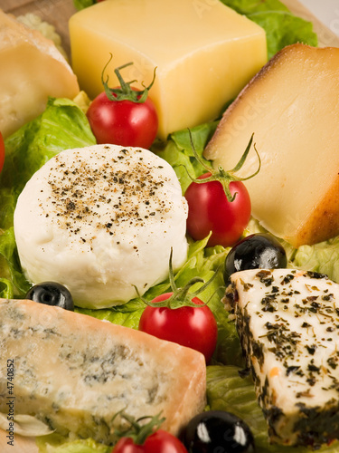 Quesos diferentes variedades - Different cheeses varieties