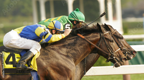 Canvas Print Close-Up of Neck and Neck Horse Race