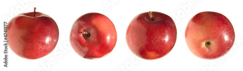 red apples border, isolated photo