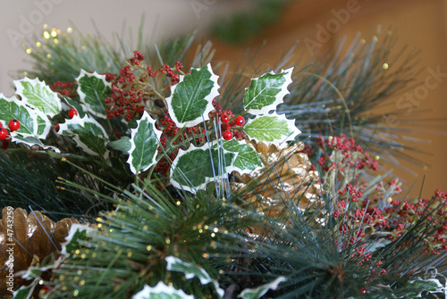 Christmas Holly and Greenery