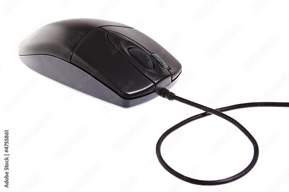 the black computer mouse