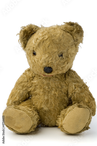 teddy