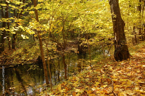 autumn river