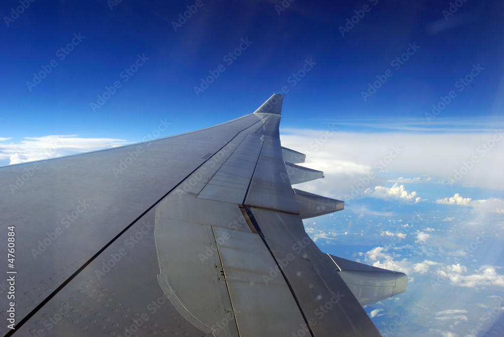 Fototapeta premium Volando