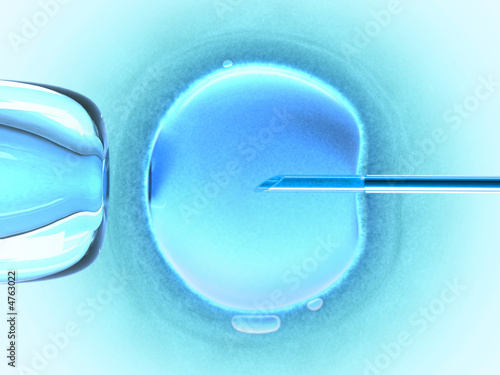 In vitro fecundation using sperm (cold color) photo