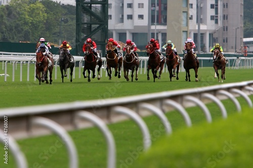 Tapety artystyczne Horse Racing