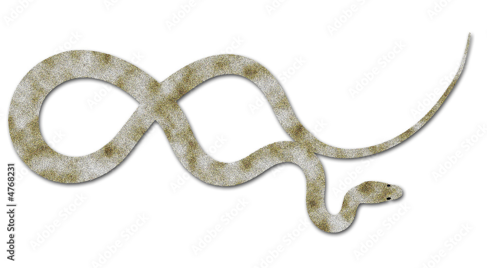 Obraz premium couleuvre des sables