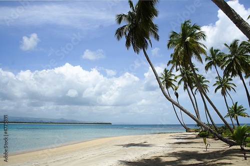 Karibik photo