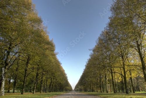 Allee in den Herrenhäuser Gärten