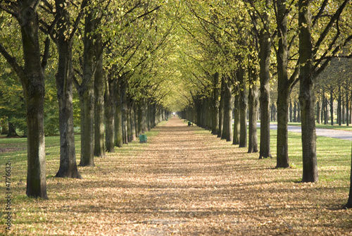 Allee in den Herrenh  user G  rten