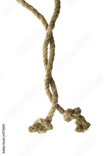 Variants of the rope with node