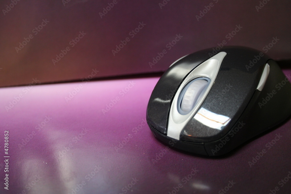 mouse mouse