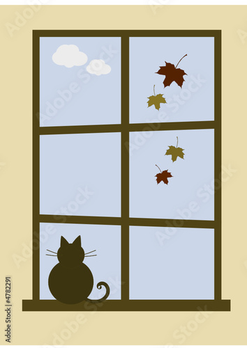 Herbst: Katze am Fenster beobachtet Herbstlaub