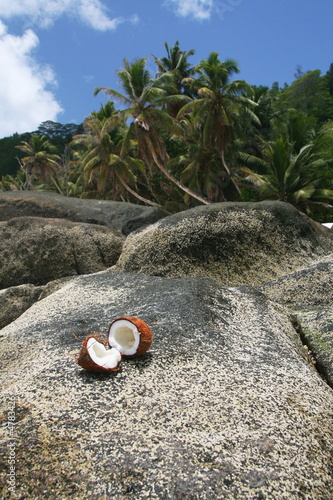 coconut beach