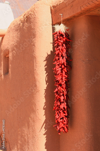 Ristra of Red Chile Peppers (Capsicum annuum) photo