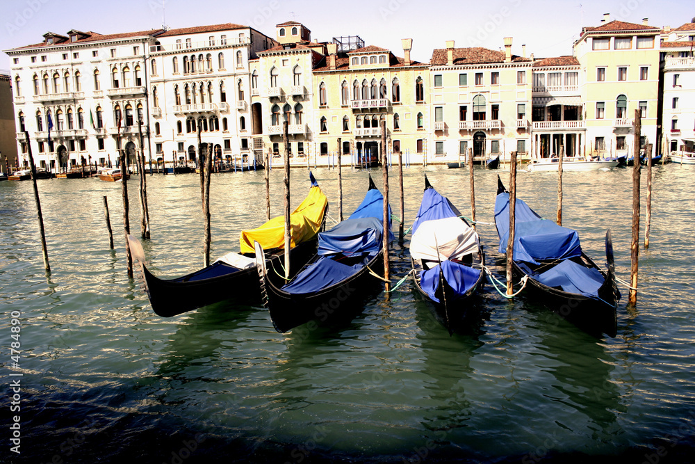 Gondolas resting, Venice