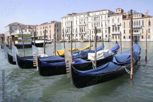 Gondolas docked in Venice © Mele Avery