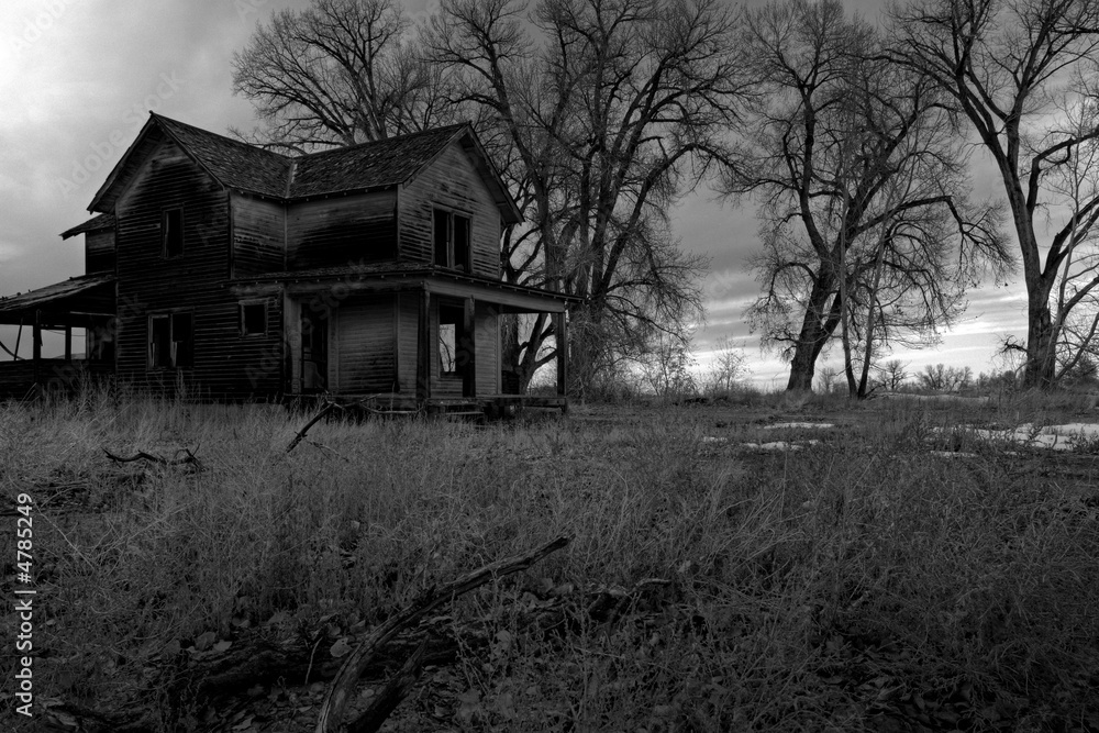 Obraz premium haunted house