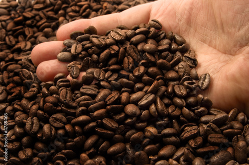 hands with coffee beans
