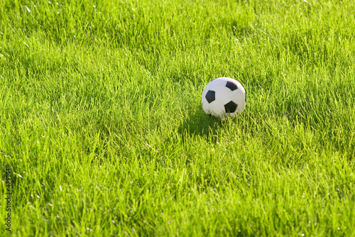 toy football on green grass