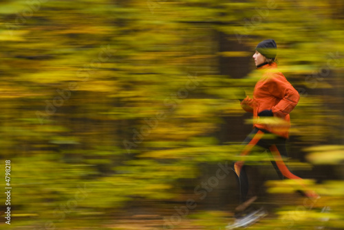 autumn running in the forest