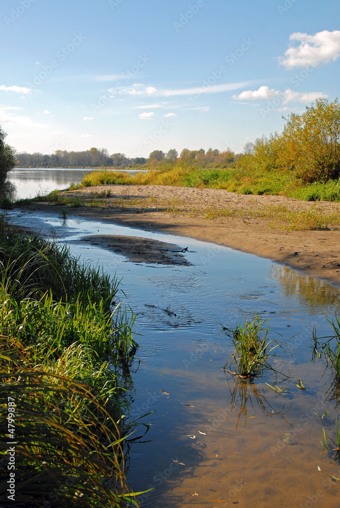 Obraz premium Bug river